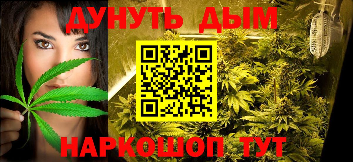 Канабис гибрид Кисловодск